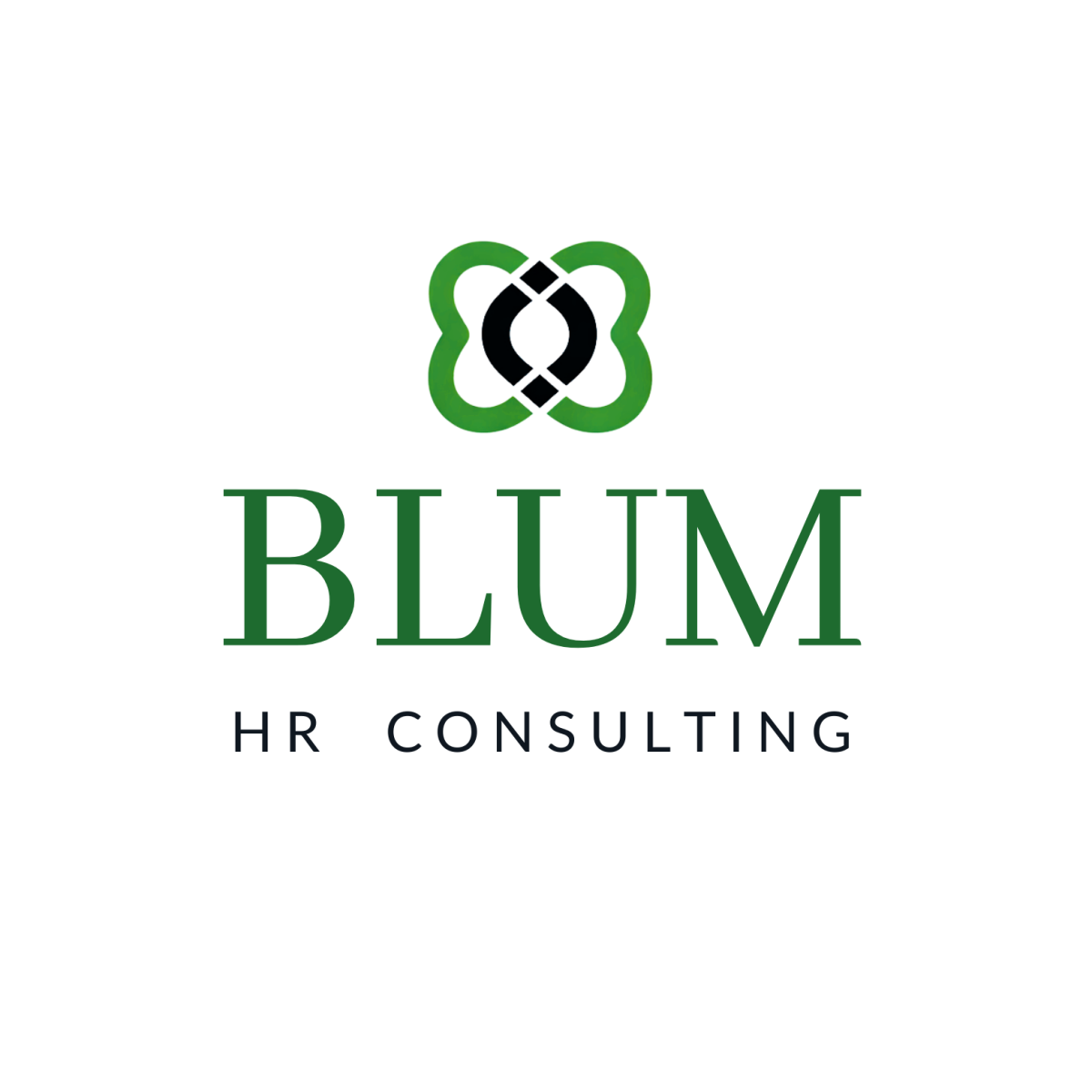 Logo von Blum HR Consulting (Buchloe, Deutschland) — Firmenprofil im Verzeichnis der SAP-Analytics-Dienstleister von Analytics Legends